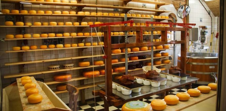 przemysł mleczarski dostosowany do wymagań konkluzji bat