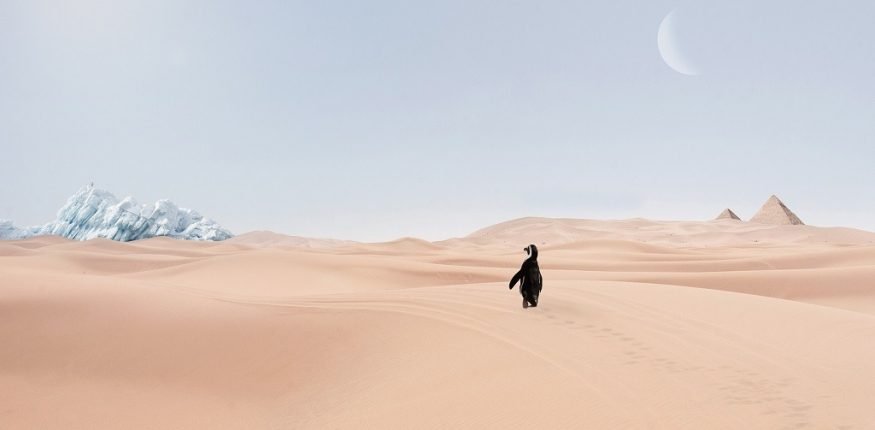 zmiany klimatu do jakich należy się zaadaptować